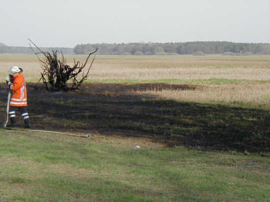 2003-fbr2 2003-fbr2