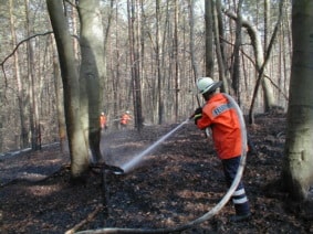 2003_wabra_breetze2 2003_wabra_breetze2